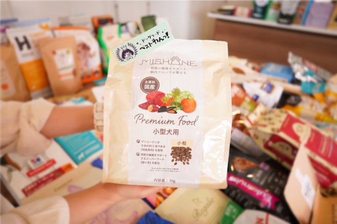 ミシュワン小型犬