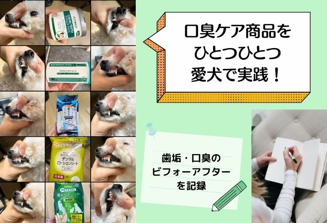 口臭ケア商品を愛犬で実践