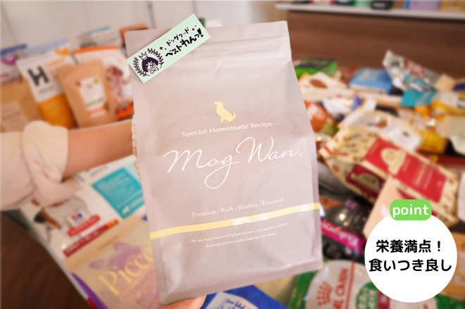 モグワンパッケージ