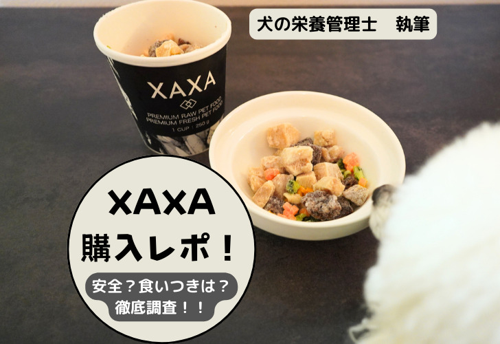 XAXAアイキャッチ