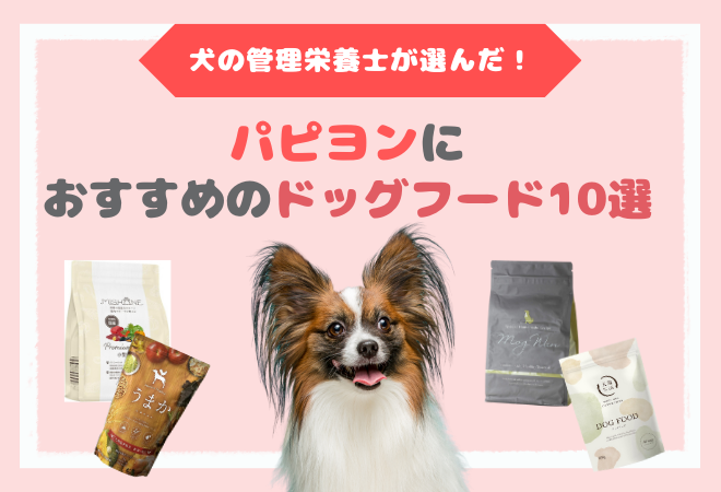 パピヨンにおすすめドッグフード10選