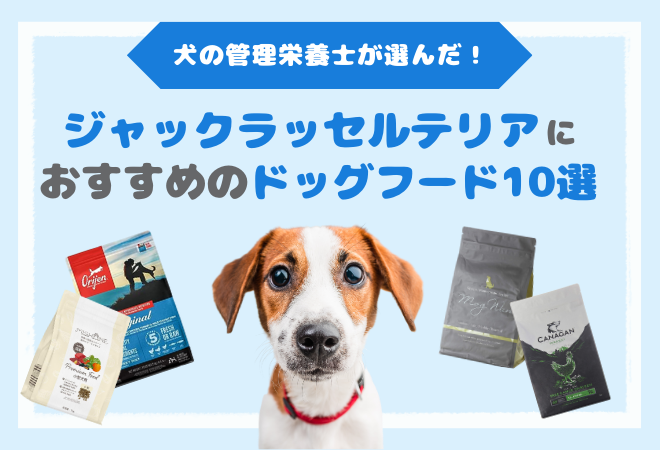 ジャックラッセルテリアにおすすめのドッグフード10選