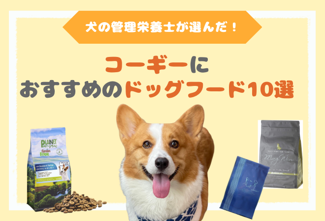 コーギーにおすすめのドッグフード10選