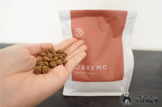 オブレモを手にのせる