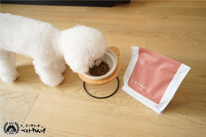 オブレモを愛犬が食べてる様子