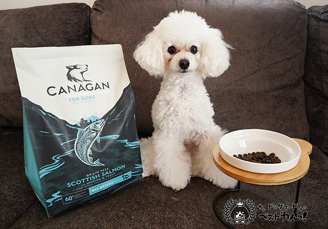 カナガンドッグフードサーモンと愛犬