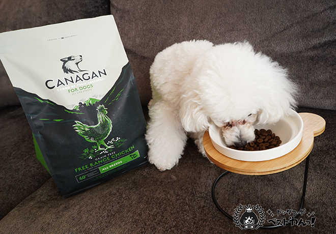 カナガンドッグフードを愛犬が食べる