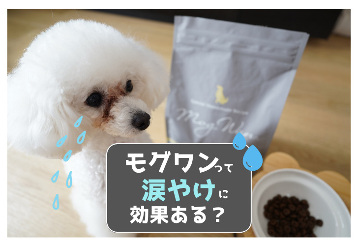 モグワンって涙やけに効果ある？