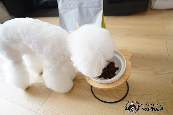 モグワンを愛犬が食べてるところ