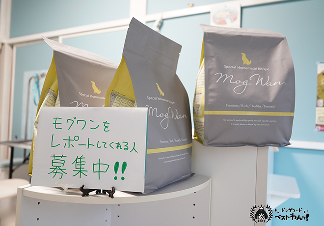 モグワンをレポートしてくれる人募集中