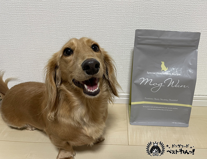 モグワンレポートダックス