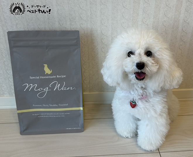 モグワンレポートプードル