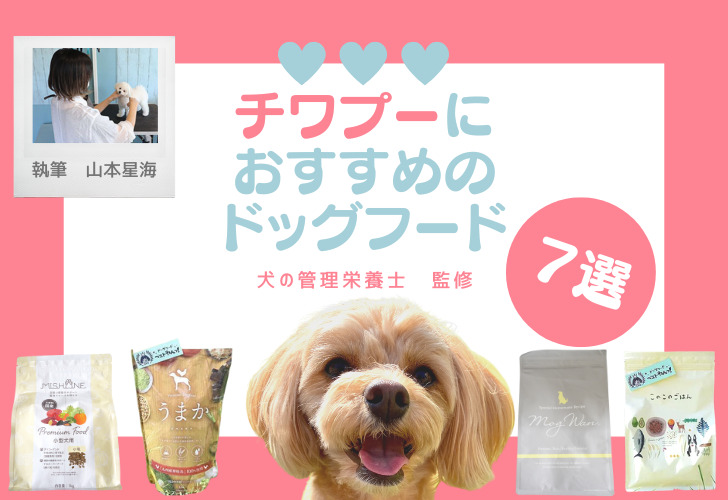 チワプーにおすすめのドッグフード