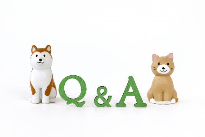 Q＆A