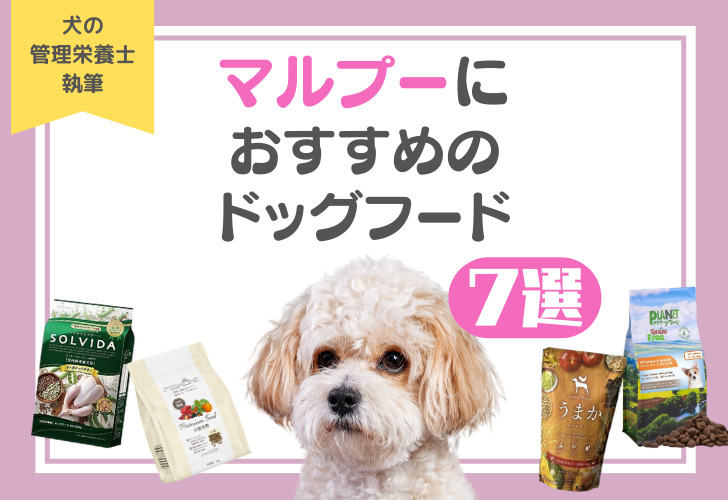 マルプーにおすすめのドッグフード7選