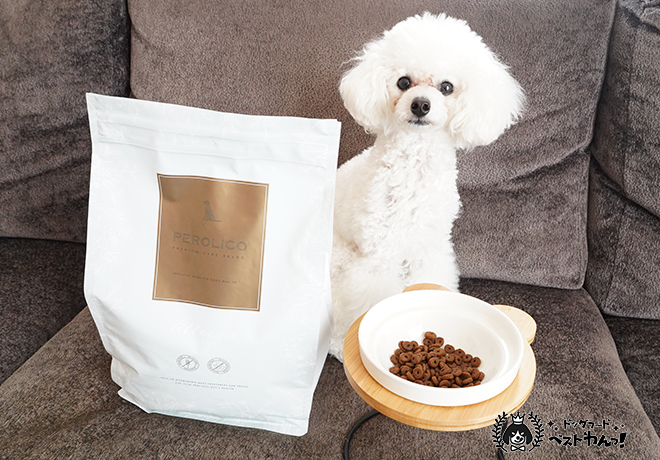 ペロリコアレカットと犬