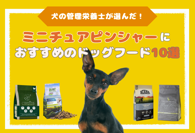 ミニチュアピンシャーにおすすめのドッグフード10選