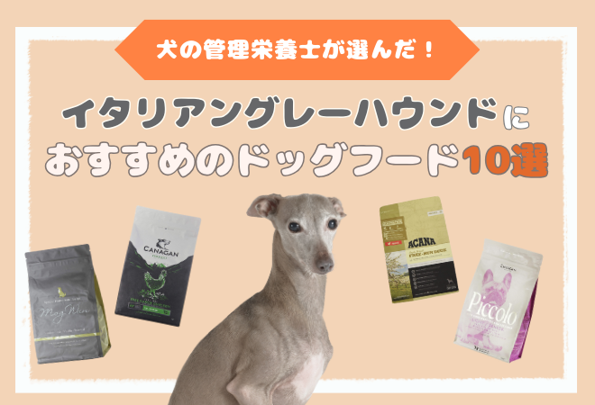 イタリアングレーハウンドにおすすめのドッグフード