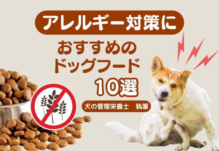 アレルギー対策におすすめのドッグフード10選
