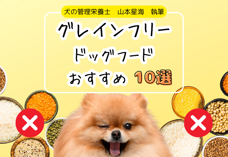 グレインフリードッグフードおすすめ10選