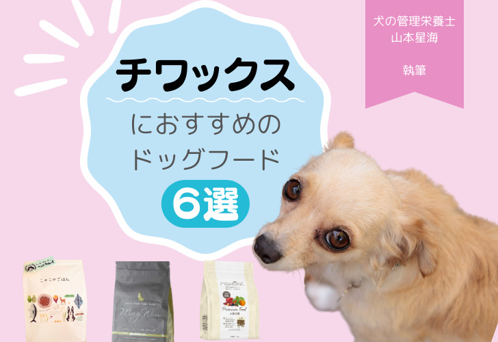 チワックスにおすすめのドッグフード6選