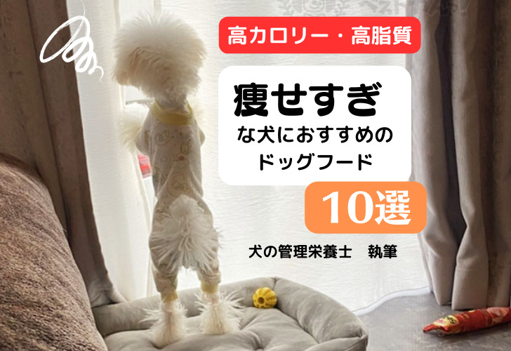 痩せすぎな犬におすすめのドッグフード10選