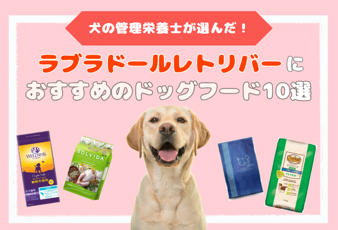 ラブラドールレトリバーにおすすめのドッグフード10選