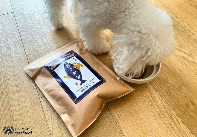 おさかなドッグフードを愛犬が食べる