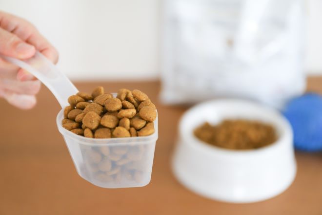 ドッグフードを測る