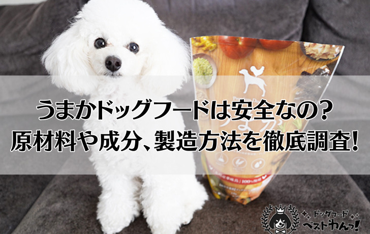 うまかドッグフードは安全なの?原材料や成分、製造方法を徹底調査!