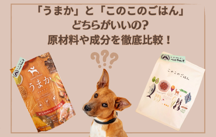 うまか　このこのごはん　比較