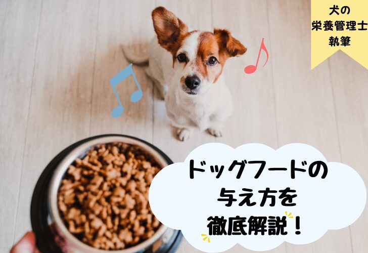 ドッグフードの与え方