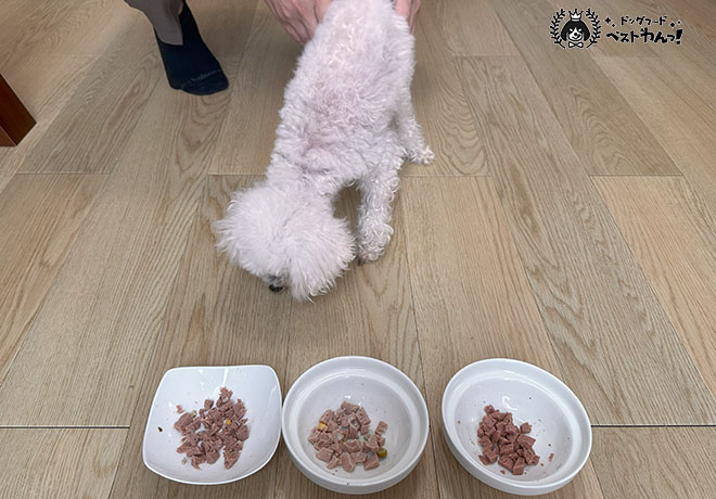 ブッチ食いつき選手権２