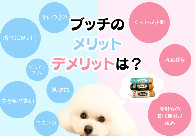 ブッチのメリット・デメリット