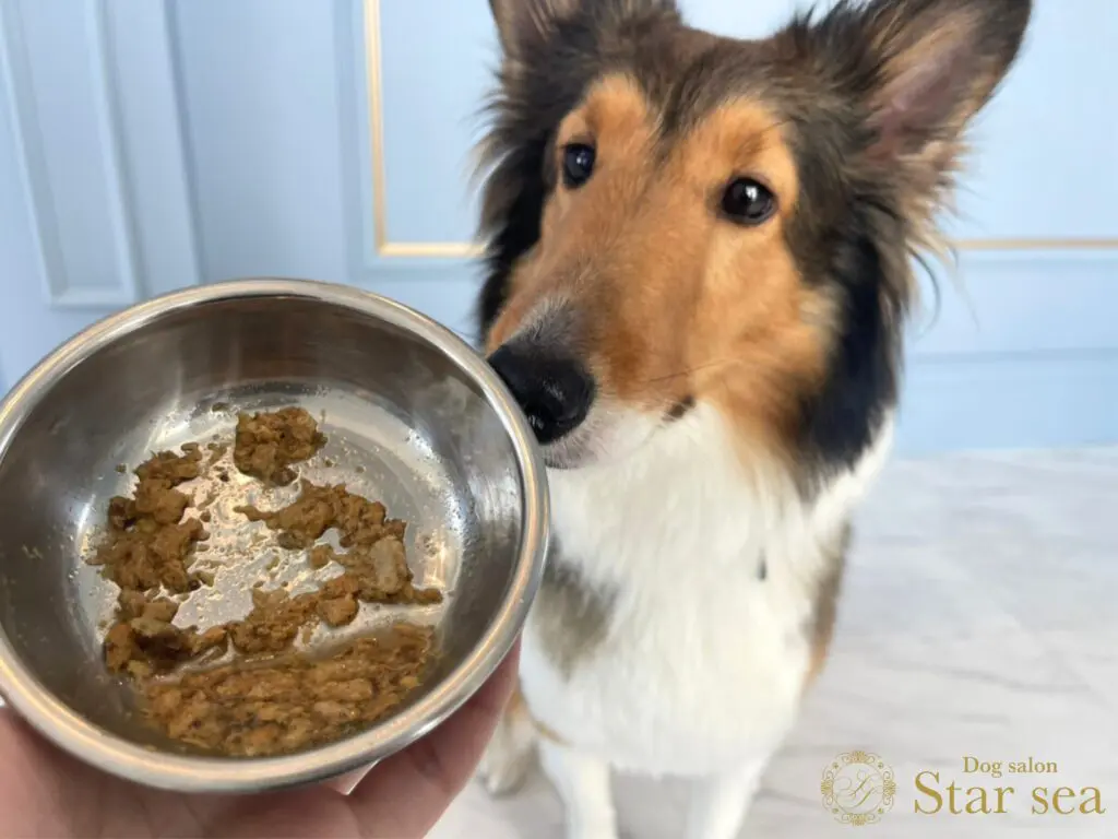 画像に alt 属性が指定されていません。ファイル名: k9-dog-before-eating-1024x768.jpg