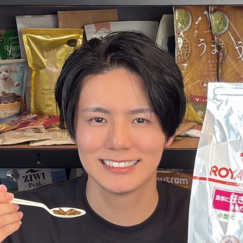 山本 直弥のアバター