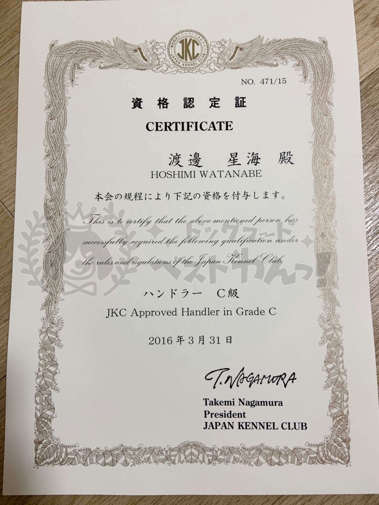 山本星海のジャパンケネルクラブ「ハンドラーC級」資格証明書