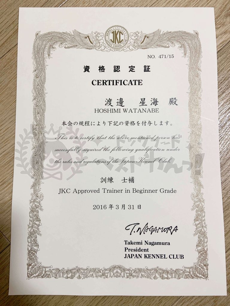 山本星海のジャパンケネルクラブ「訓練士補」資格証明書