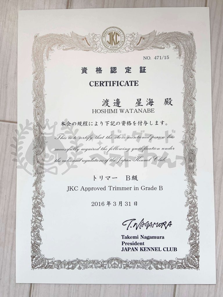 山本星海のジャパンケネルクラブ「トリマーB級」資格証明書