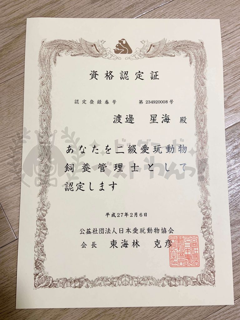 山本星海の日本愛玩動物協会「二級愛玩動物飼育管理士」資格証明書